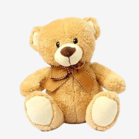 Teddy Bear stuff toy