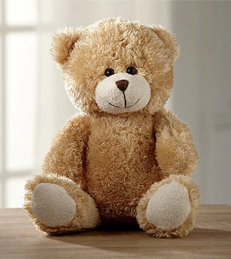 Teddy Bear stuff toy